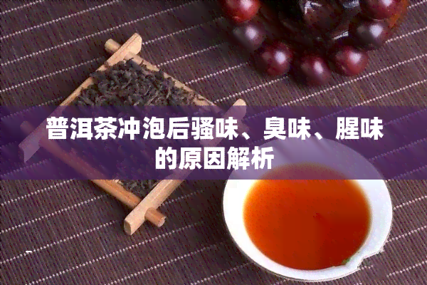 普洱茶冲泡后骚味、臭味、腥味的原因解析