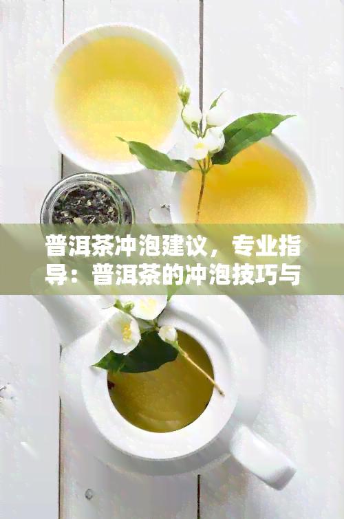 普洱茶冲泡建议，专业指导：普洱茶的冲泡技巧与建议