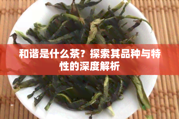 和谐是什么茶？探索其品种与特性的深度解析