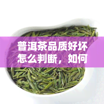 普洱茶品质好坏怎么判断，如何判断普洱茶的品质好坏？