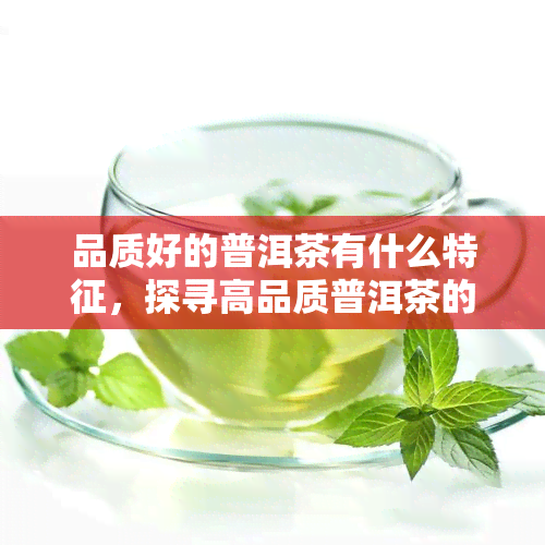 品质好的普洱茶有什么特征，探寻高品质普洱茶的特征与鉴别方法