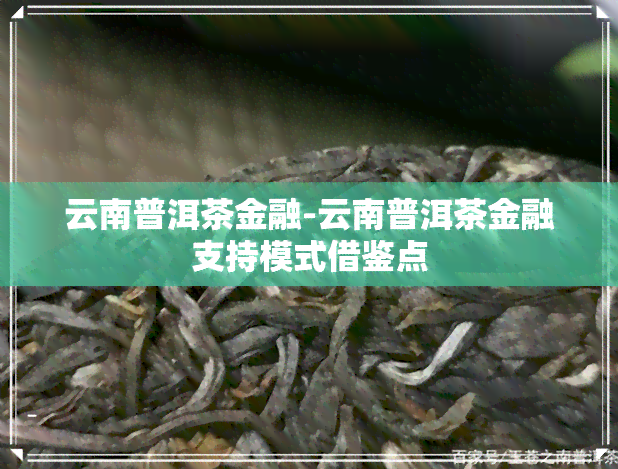 云南普洱茶金融-云南普洱茶金融支持模式借鉴点