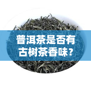 普洱茶是否有古树茶香味？原因解析