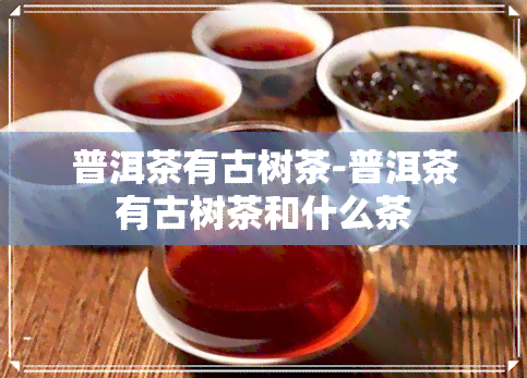 普洱茶有古树茶-普洱茶有古树茶和什么茶