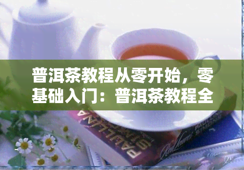 普洱茶教程从零开始，零基础入门：普洱茶教程全解析