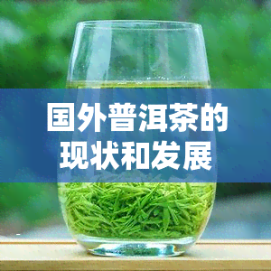 国外普洱茶的现状和发展动态，探索全球普洱茶市场：现状与发展趋势