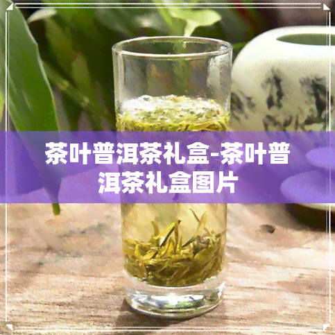 茶叶普洱茶礼盒-茶叶普洱茶礼盒图片