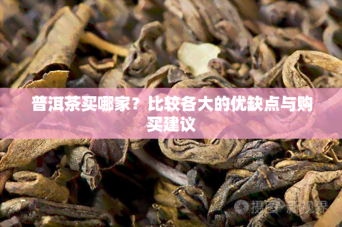 普洱茶买哪家？比较各大的优缺点与购买建议