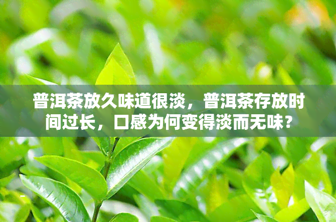 普洱茶放久味道很淡，普洱茶存放时间过长，口感为何变得淡而无味？