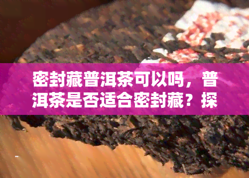 密封藏普洱茶可以吗，普洱茶是否适合密封藏？探讨茶叶保存的科学方法