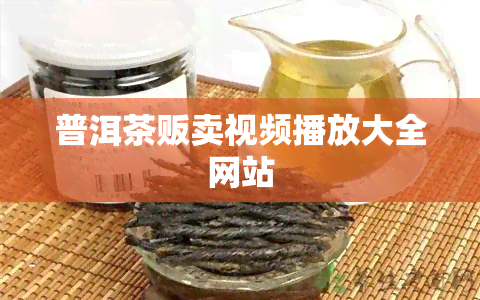 普洱茶贩卖视频播放大全网站