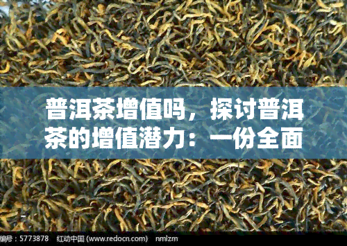 普洱茶增值吗，探讨普洱茶的增值潜力：一份全面的研究报告