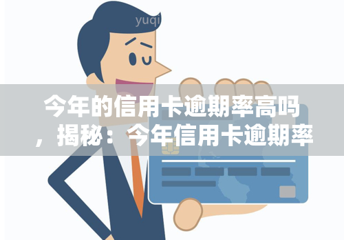 今年的信用卡逾期率高吗，揭秘：今年信用卡逾期率是否居高不下？