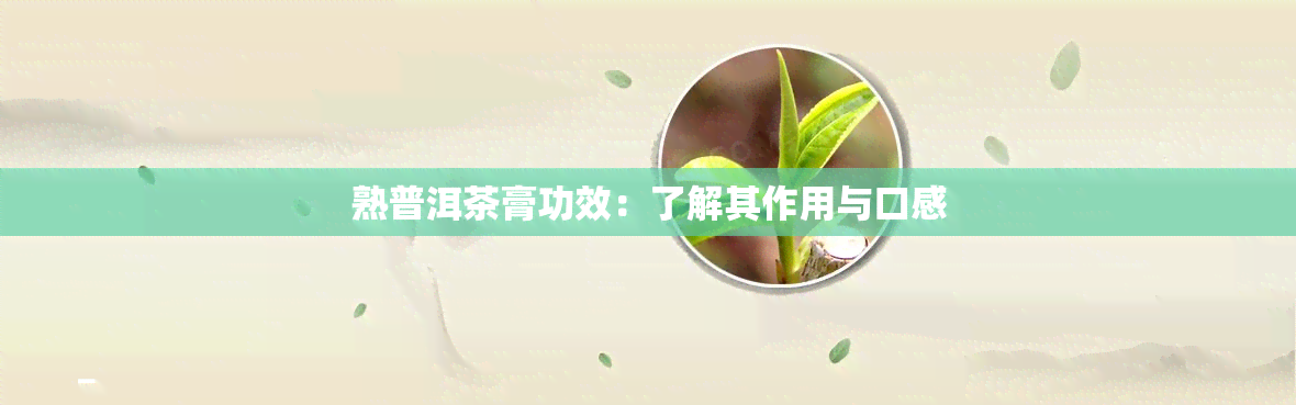 熟普洱茶膏功效：了解其作用与口感