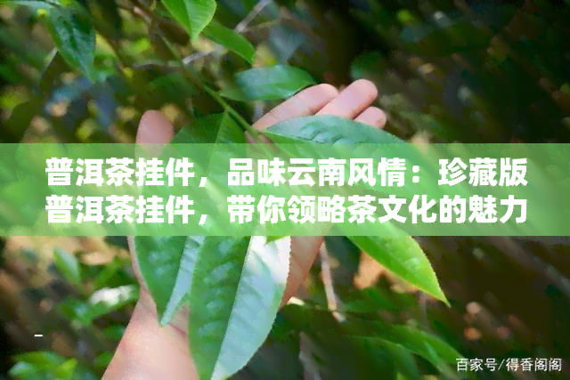 普洱茶挂件，品味云南风情：珍藏版普洱茶挂件，带你领略茶文化的魅力！