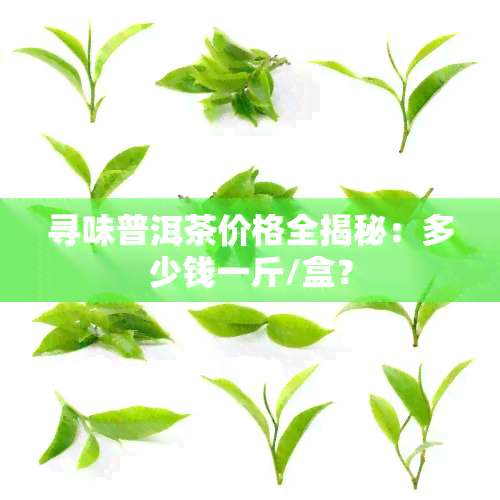 寻味普洱茶价格全揭秘：多少钱一斤/盒？