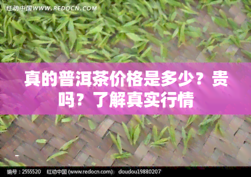 真的普洱茶价格是多少？贵吗？了解真实行情