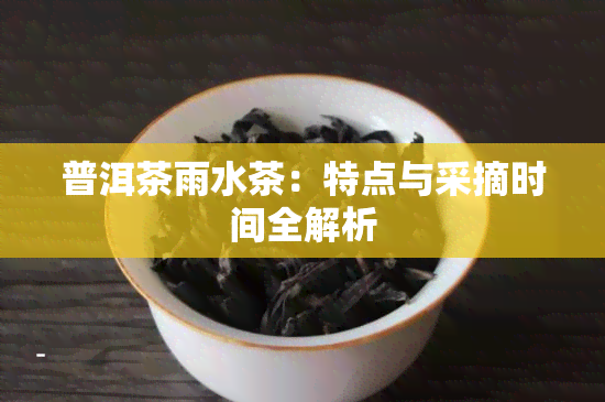 普洱茶雨水茶：特点与采摘时间全解析