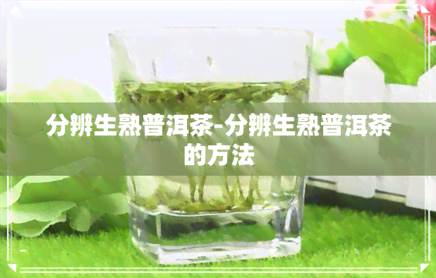 分辨生熟普洱茶-分辨生熟普洱茶的方法