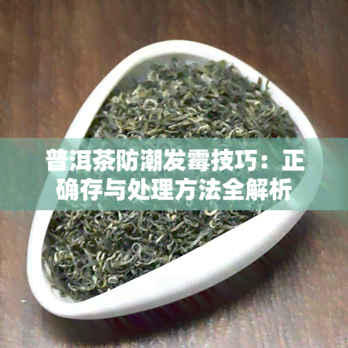 普洱茶防潮发霉技巧：正确存与处理方法全解析