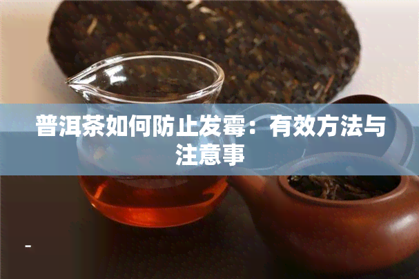 普洱茶如何防止发霉：有效方法与注意事