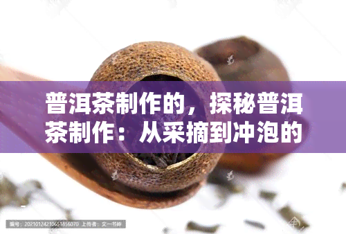 普洱茶制作的，探秘普洱茶制作：从采摘到冲泡的全过程解析