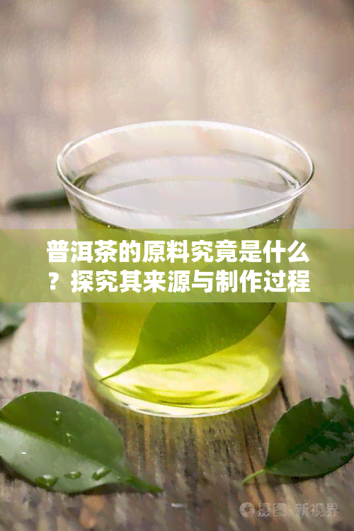 普洱茶的原料究竟是什么？探究其来源与制作过程