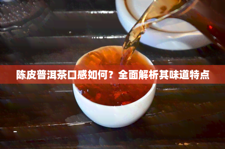 陈皮普洱茶口感如何？全面解析其味道特点