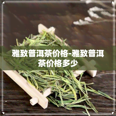 雅致普洱茶价格-雅致普洱茶价格多少