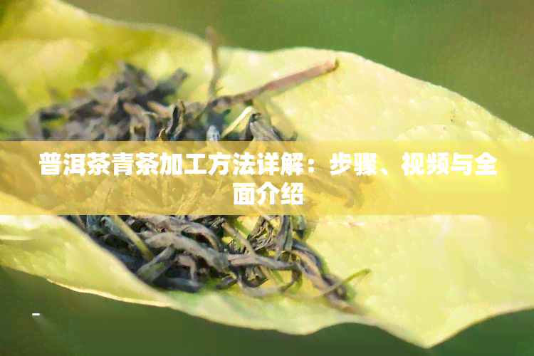 普洱茶青茶加工方法详解：步骤、视频与全面介绍