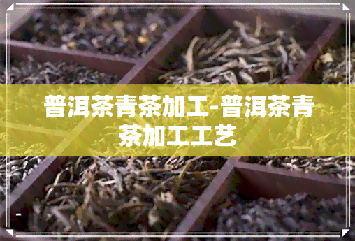 普洱茶青茶加工-普洱茶青茶加工工艺