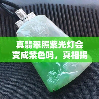 真翡翠照紫光灯会变成紫色吗，真相揭秘：真翡翠照紫光灯是否会变紫色？