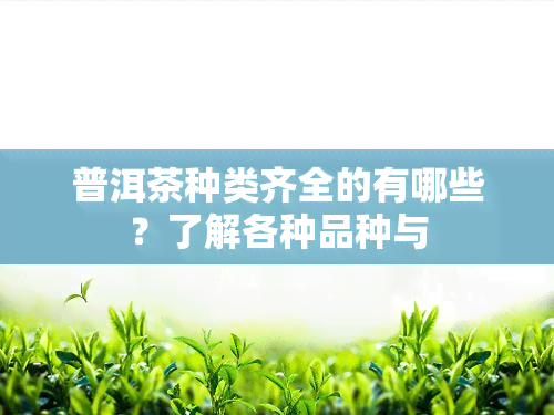 普洱茶种类齐全的有哪些？了解各种品种与