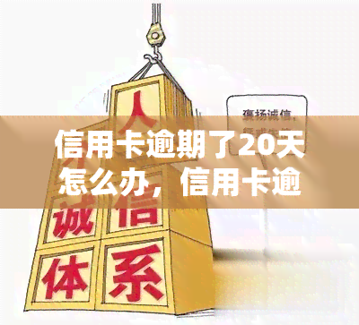 信用卡逾期了20天怎么办，信用卡逾期20天，我该怎么办？