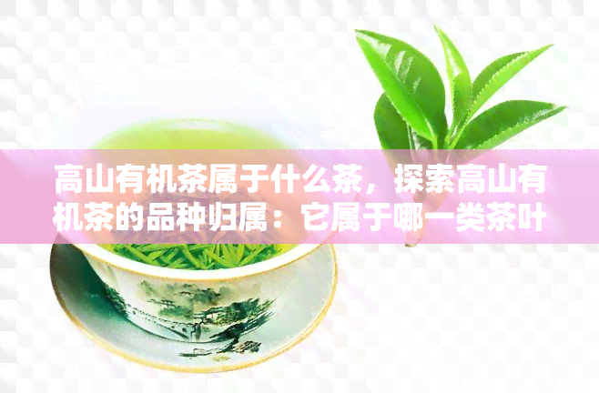 高山有机茶属于什么茶，探索高山有机茶的品种归属：它属于哪一类茶叶？