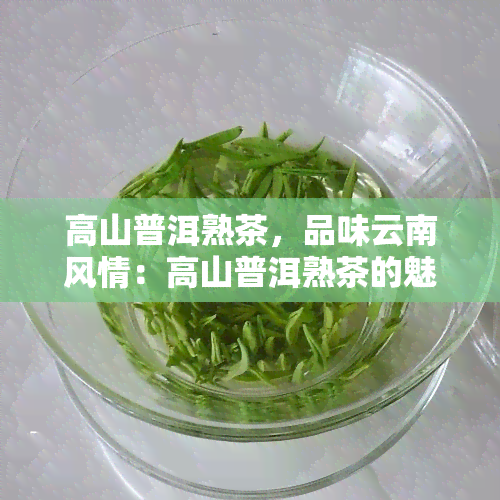 高山普洱熟茶，品味云南风情：高山普洱熟茶的魅力探究