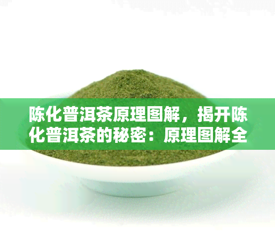 陈化普洱茶原理图解，揭开陈化普洱茶的秘密：原理图解全面解析