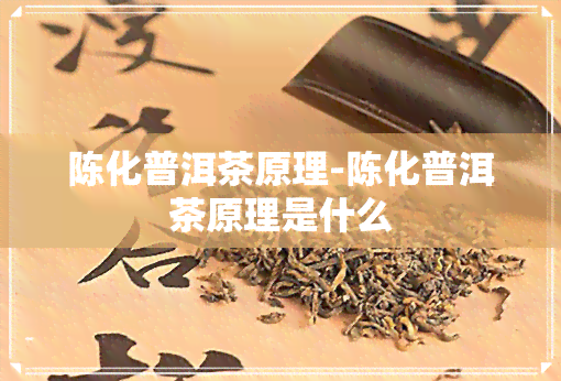 陈化普洱茶原理-陈化普洱茶原理是什么