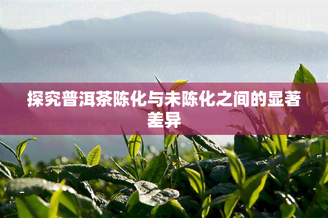 探究普洱茶陈化与未陈化之间的显著差异