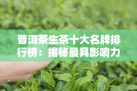 普洱茶生茶十大名牌排行榜：揭秘更具影响力的