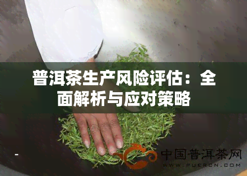 普洱茶生产风险评估：全面解析与应对策略