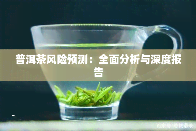 普洱茶风险预测：全面分析与深度报告