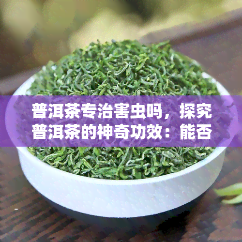 普洱茶专治害虫吗，探究普洱茶的神奇功效：能否有效防治害虫？