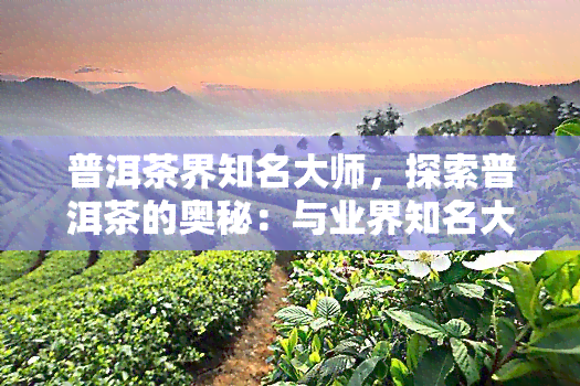 普洱茶界知名大师，探索普洱茶的奥秘：与业界知名大师对话