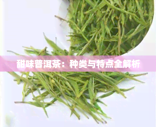 甜味普洱茶：种类与特点全解析