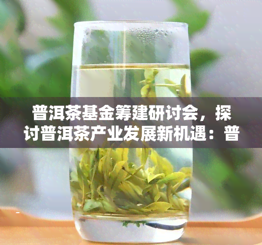 普洱茶基金筹建研讨会，探讨普洱茶产业发展新机遇：普洱茶基金筹建研讨会在京举行