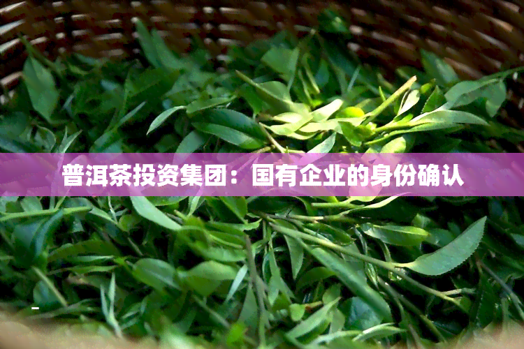 普洱茶投资集团：国有企业的身份确认