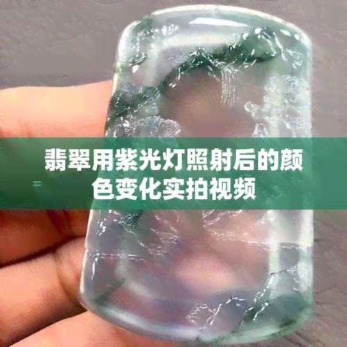 翡翠用紫光灯照射后的颜色变化实拍视频