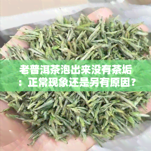 老普洱茶泡出来没有茶垢：正常现象还是另有原因？