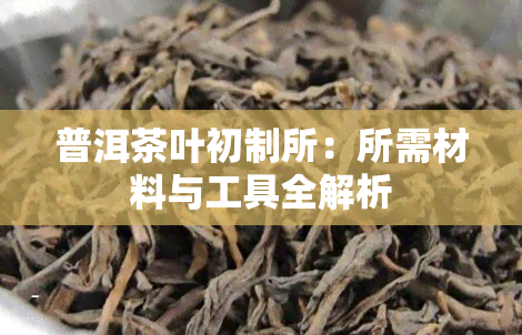 普洱茶叶初制所：所需材料与工具全解析